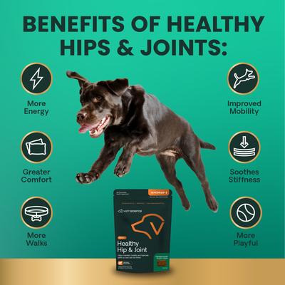 Show full view: VetriScience GlycoFlex Sport Healthy Hip & Joint Chicken Flavored Chews with Glucosamine & Green-Lipped Mussel Joint Supplement for Dogs, 60 count slide 6 of 10