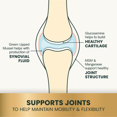 Show full view: VetriScience GlycoFlex Sport Healthy Hip & Joint Chicken Flavored Chews with Glucosamine & Green-Lipped Mussel Joint Supplement for Dogs, 60 count slide 5 of 10