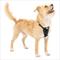 Show in main carousel: Kurgo Tru-Fit Smart Harness Reflective Dog Harness, Black, X-Small: 12 to 18-in chest slide 1 of 9
