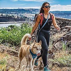 Kurgo Reflect & Protect Quantum Nylon Running Dog Leash, Black, 6-ft long, 1-in wide, Black slide 2 of 8