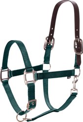 Equinavia Loki Horse Breakaway Halter, Hunter Green, Cob