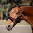 Equinavia Valkyrie Ultra Fleece Horse Breakaway Halter