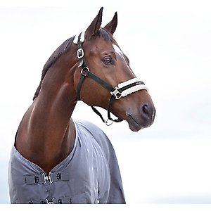 Horze Howard Horse Halter, Black, Warmblood