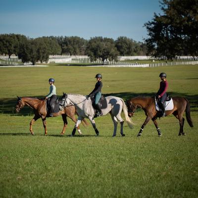 Show full view: Equinavia Valkyrie Equalizer Dressage Girth, Black, 24-in slide 2 of 5