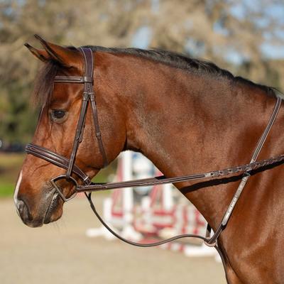 Show full view: Equinavia Valkyrie Fancy Stitched Standing Martingale, Chocolate Brown, Warmblood slide 3 of 9