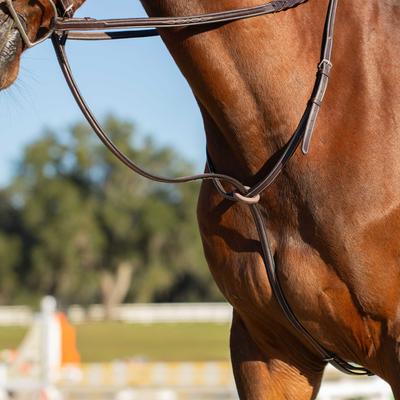 Show full view: Equinavia Valkyrie Fancy Stitched Standing Martingale, Chocolate Brown, Warmblood slide 5 of 9