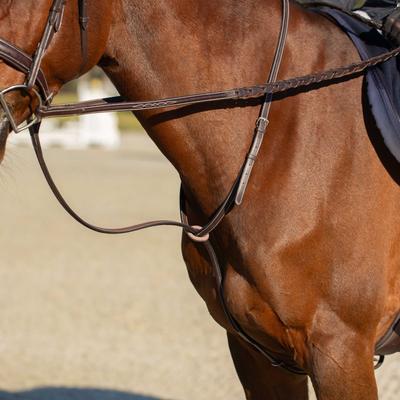 Show full view: Equinavia Valkyrie Fancy Stitched Standing Martingale, Chocolate Brown, Warmblood slide 4 of 9