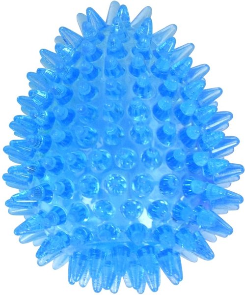Gnawsome Spiky Egg Dog Chew Toy