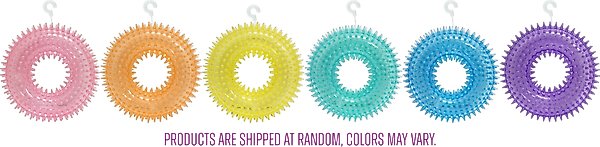 Show full view: Gnawsome Spiky Ring Squeaky Dog Ball Toy, Medium slide 1 of 3