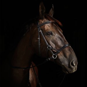 Horze Denver Bitless Horse Bridle, Black, Cob
