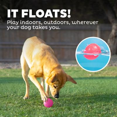 Show full view: Outward Hound Squeak Ball Dog Toy, Pink slide 6 of 11