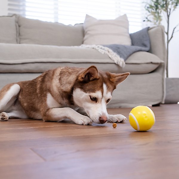 Show full view: Outward Hound Sport Ballz Tennis Ball Treat-Dispensing Fetch Ball Dog Toy slide 6 of 11