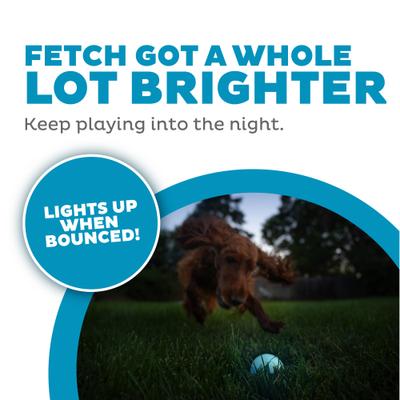 Show full view: Outward Hound Orbee-Tuff LED Strobe Ball Tough Dog Chew Toy, Blue slide 2 of 12