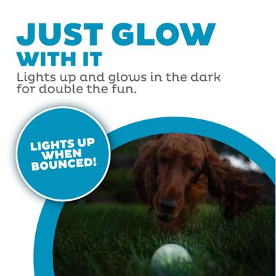 Show full view: Outward Hound Orbee-Tuff LED Strobe Ball Tough Dog Chew Toy, White slide 2 of 11