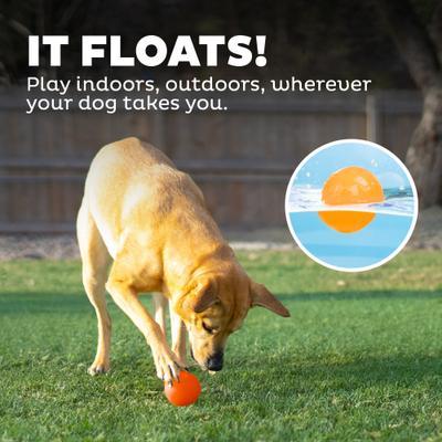 Show full view: Outward Hound Orbee-Tuff Squeak Ball Tough Dog Chew Toy, Orange slide 5 of 11