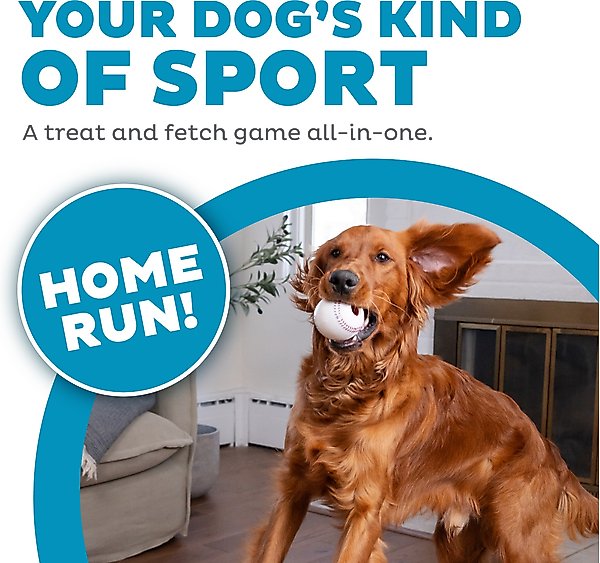 Show full view: Outward Hound Sport Ballz Baseball Treat-Dispensing Fetch Ball Dog Toy slide 2 of 11