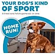 Show in main carousel: Outward Hound Sport Ballz Baseball Treat-Dispensing Fetch Ball Dog Toy slide 2 of 11