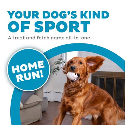 Show full view: Outward Hound Sport Ballz Baseball Treat-Dispensing Fetch Ball Dog Toy slide 2 of 11