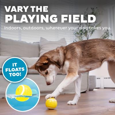 Show full view: Outward Hound Sport Ballz Tennis Ball Treat-Dispensing Fetch Ball Dog Toy slide 5 of 11