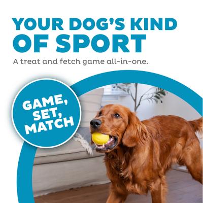 Show full view: Outward Hound Sport Ballz Tennis Ball Treat-Dispensing Fetch Ball Dog Toy slide 2 of 11