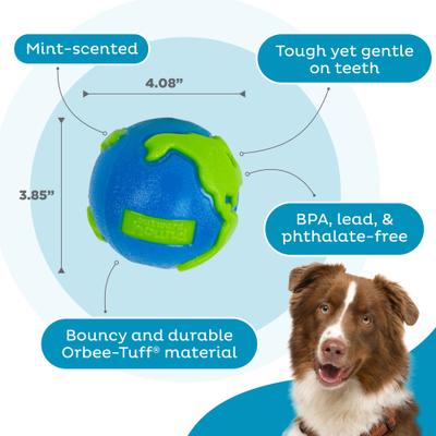 Show full view: Outward Hound Orbee-Tuff Ball Tough Dog Chew Toy, Blue/Green, Large slide 3 of 10