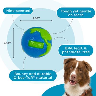 Show full view: Outward Hound Orbee-Tuff Ball Tough Dog Chew Toy, Blue/Green, Small slide 3 of 10