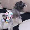 Show in main carousel: CuteBone Reusable Female Dog Diapers, 3 count, Medium: 16 to 21-in waist slide 8 of 11