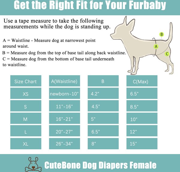 Show full view: CuteBone Reusable Female Dog Diapers, 3 count, Medium: 16 to 21-in waist slide 5 of 11