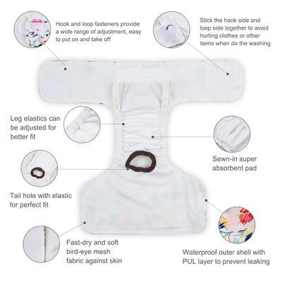 Show full view: CuteBone Reusable Female Dog Diapers, 3 count, Small: 11 to 16-in waist, Floral slide 3 of 11