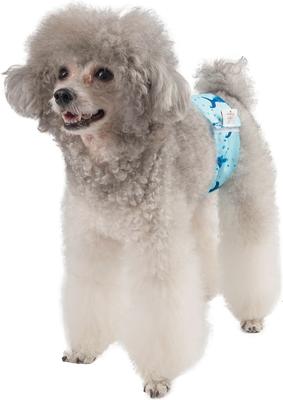 Show full view: CuteBone Belly Band Male Dog Wrap Washable Dog Diapers, Medium: 14 to 17-in waist, Turtle/Shark/Jellyfish slide 7 of 12
