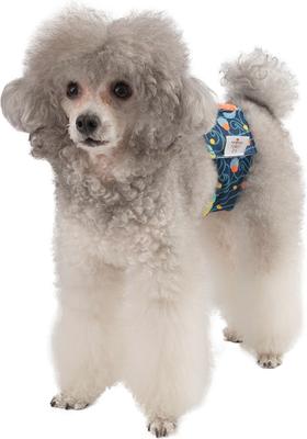 Show full view: CuteBone Belly Band Male Dog Wrap Washable Dog Diapers, Small: 11 to 14-in waist, Turtle/Shark/Jellyfish slide 7 of 12