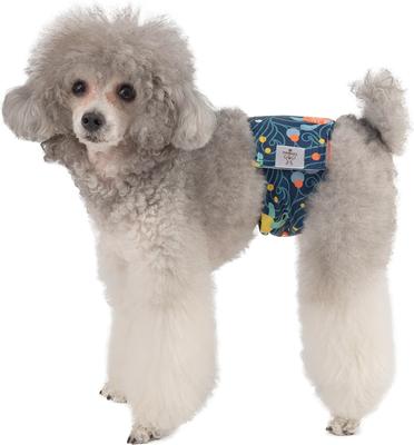 Show full view: CuteBone Belly Band Male Dog Wrap Washable Dog Diapers, X-Small: 9 to 11-in waist, Turtle/Shark/Jellyfish slide 8 of 13