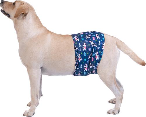 Show full view: CuteBone Belly Band Male Dog Wrap Washable Dog Diapers, X-Large: 21 to 27-in waist, Cow/Lion/Dog slide 7 of 12
