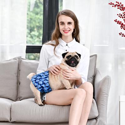 Show full view: CuteBone Belly Band Male Dog Wrap Washable Dog Diapers, X-Large: 21 to 27-in waist, Shark/Dinos/Monster slide 7 of 12