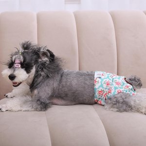 CuteBone Reusable Female Dog Diapers, 3 count, Small: 11 to 16-in waist, Floral
