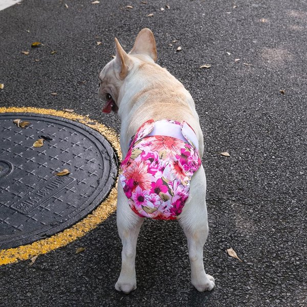 Show full view: CuteBone Washable No Tail Hole Female Dog Diapers, 3 count, X-Small: 10-in waist slide 9 of 11