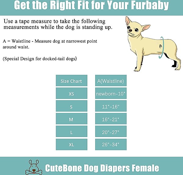 Show full view: CuteBone Washable No Tail Hole Female Dog Diapers, 3 count, X-Small: 10-in waist slide 5 of 11