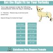 Show in main carousel: CuteBone Washable No Tail Hole Female Dog Diapers, 3 count, X-Small: 10-in waist slide 5 of 11