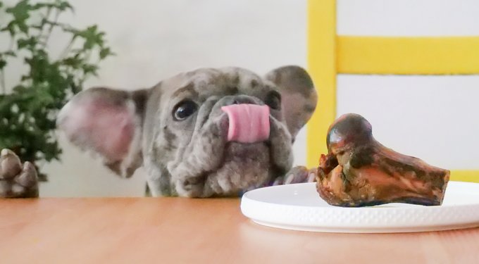 The Country Butcher Beef Shank Bone Dog Treat, 8-in