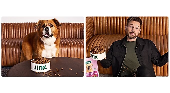 Jinx Medium Dental Dog Treats
