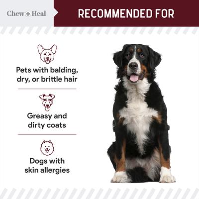 Show full view: Chew + Heal Savory Lamb Omega Skin & Coat Supplement for Dogs, 360 count slide 5 of 10