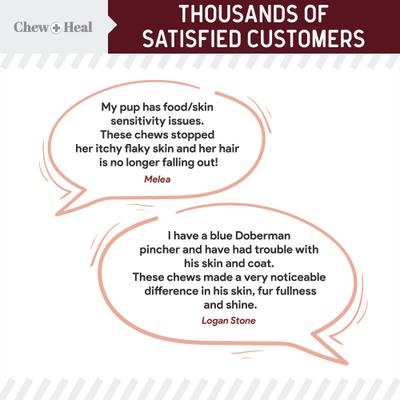 Show full view: Chew + Heal Savory Lamb Omega Skin & Coat Supplement for Dogs, 360 count slide 4 of 10