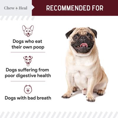 Show full view: Chew + Heal Roasted Lamb Stop The Poo Soft Chew Coprophagia & Digestive Supplement for Dogs, 240 count slide 6 of 10