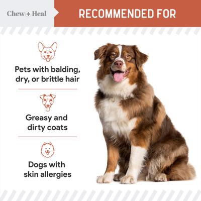 Show full view: Chew + Heal Salmon Omega Skin & Coat Supplement for Dogs, 360 count slide 9 of 10