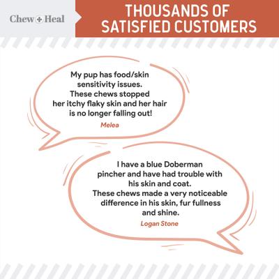 Show full view: Chew + Heal Salmon Omega Skin & Coat Supplement for Dogs, 360 count slide 4 of 10