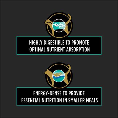 Show full view: Purina Pro Plan Veterinary Diets EN Gastroenteric Wet Cat Food, 5.5-oz can, case of 6 slide 5 of 12