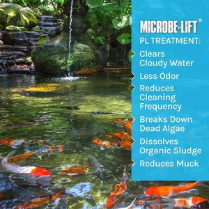 Microbe-Lift PL Pond & Lagoon Bacteria Water Treatment, 1-gal