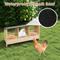 Show in main carousel: Coziwow Triple Wooden Chicken Nesting Box for Hens slide 5 of 10