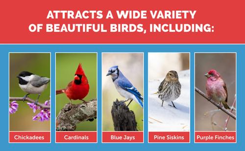 Show full view: Pennington Select Birder's Blend Wild Bird Food, 15-lb bag slide 5 of 11