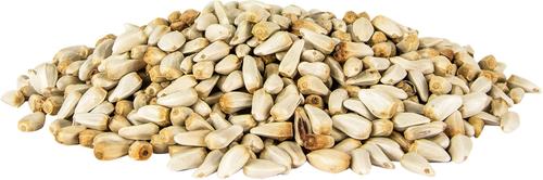 Show full view: Pennington Select Safflower Seed Wild Bird Food, 15-lb bag slide 3 of 10